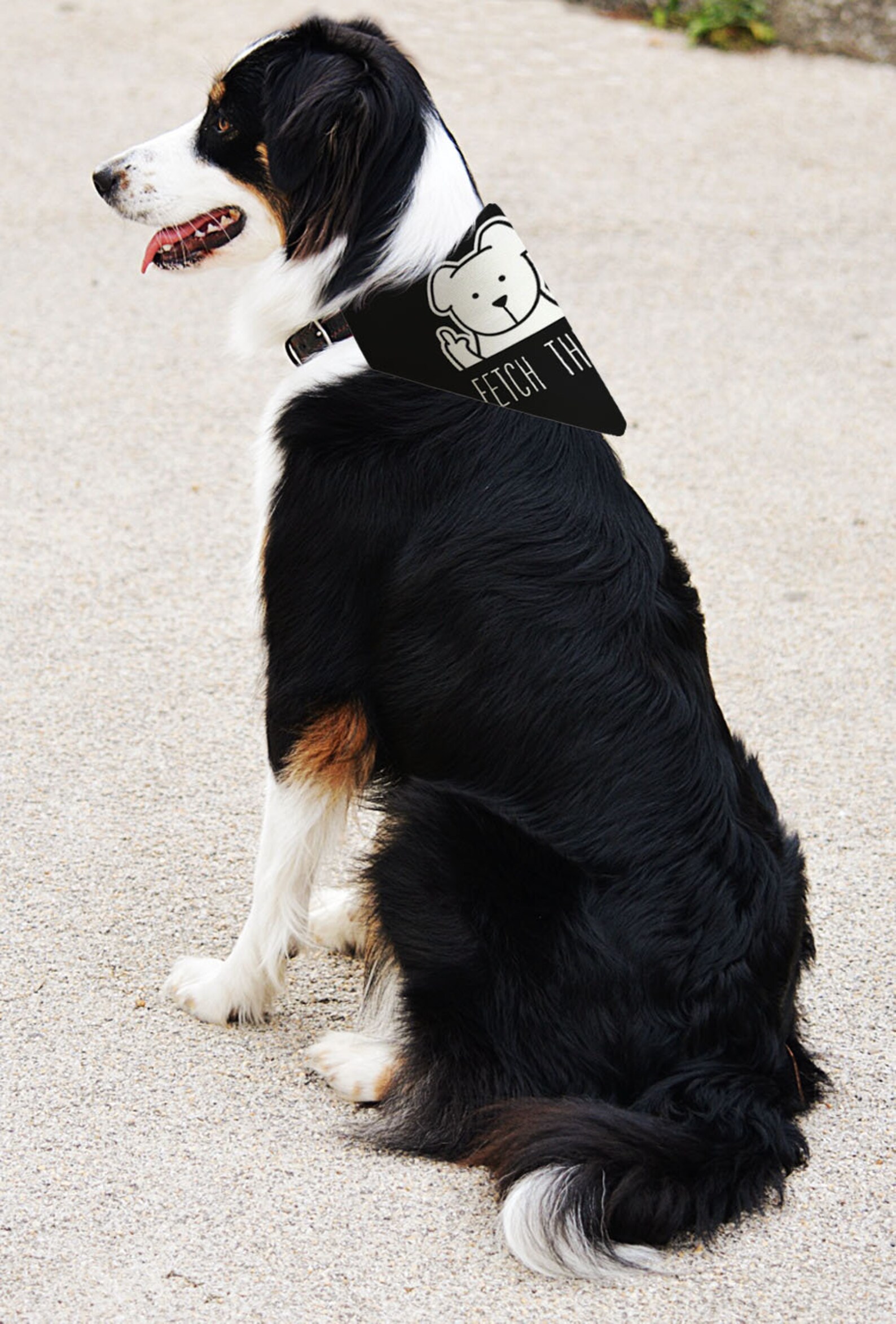 Funny Dog Accessories Fetch These Middle Finger Dog Bandana Etsy