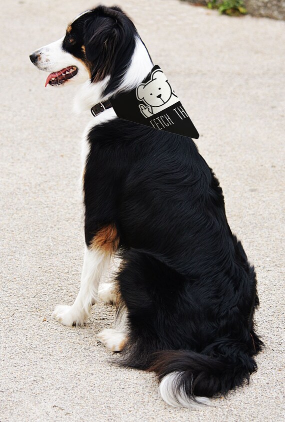 Dog top gag gifts