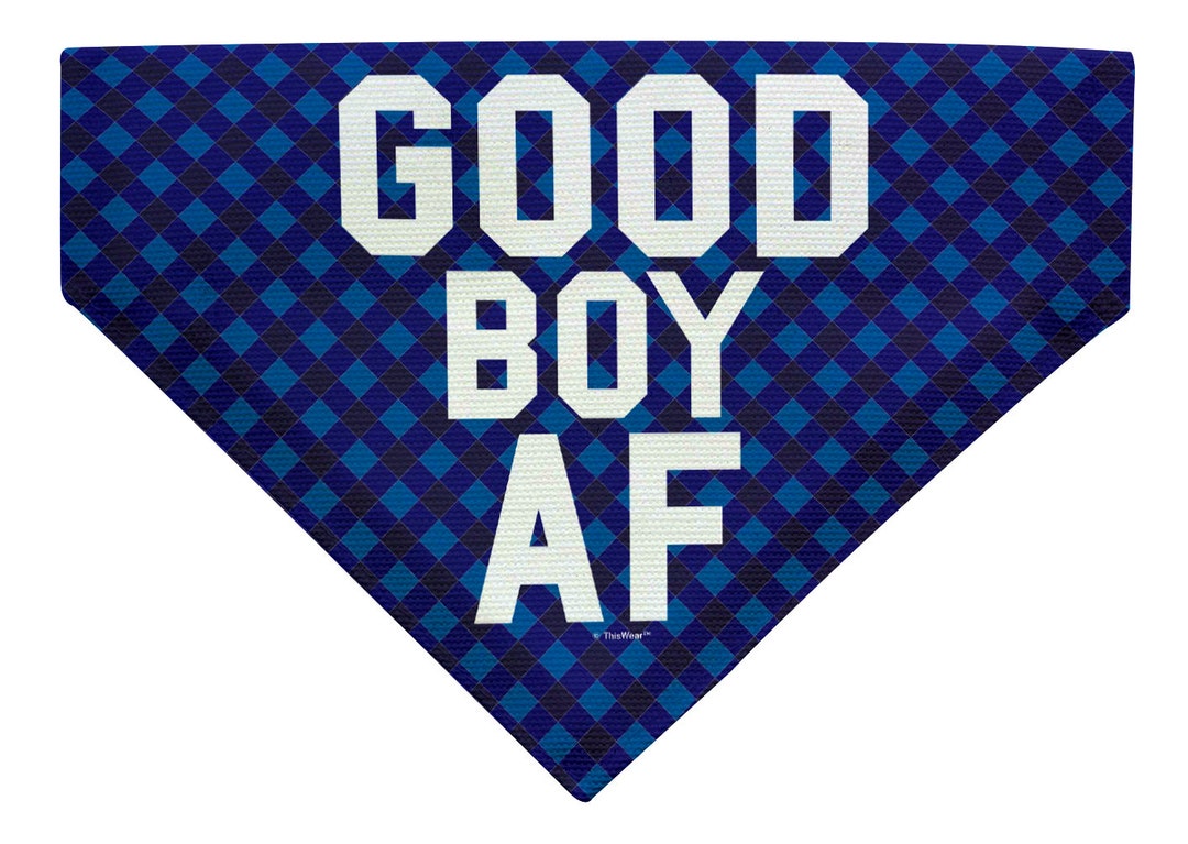 Funny Dog Accessories Good Boy AF Dog Bandana Dog Gag Gifts Blue Boy