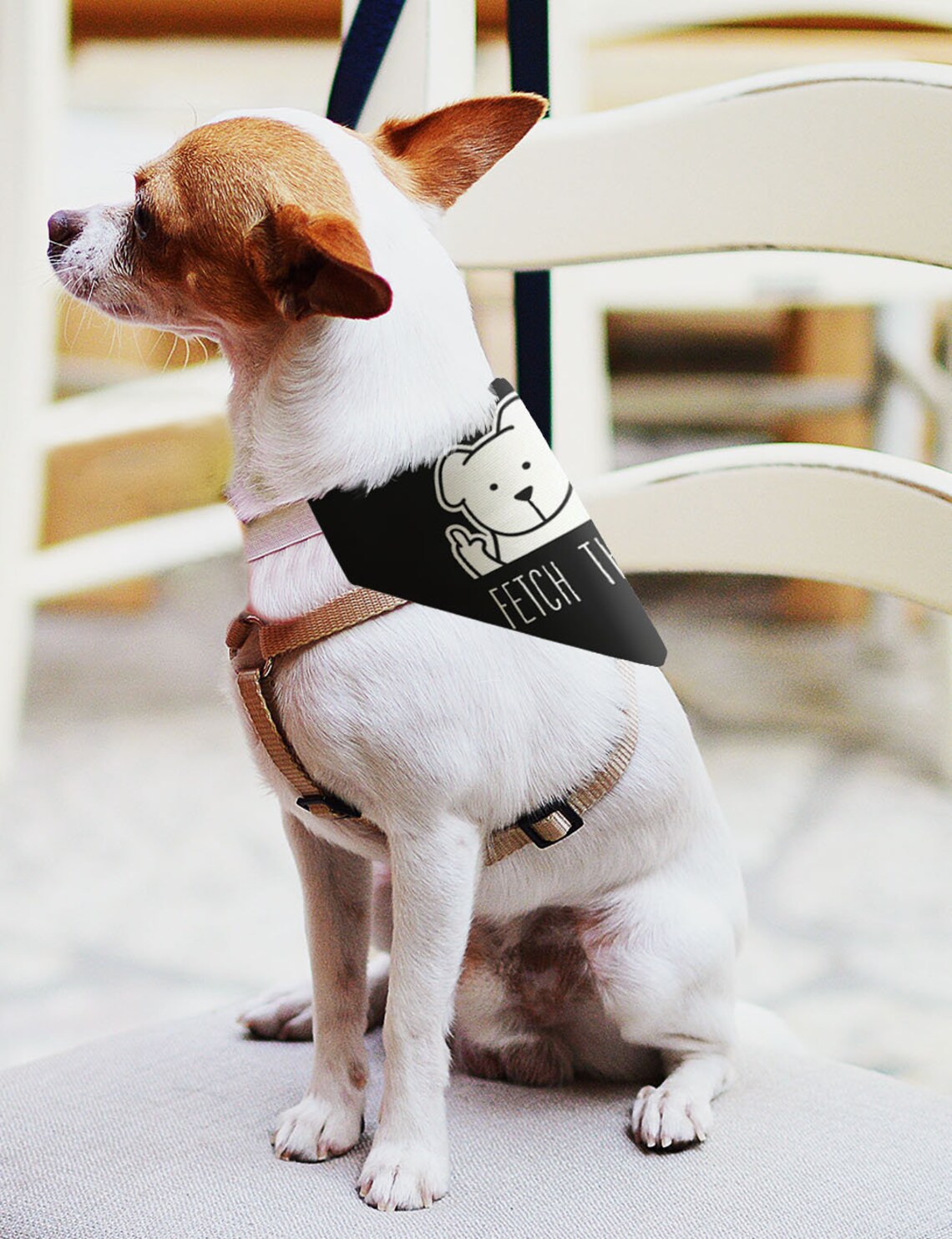 Funny Dog Accessories Fetch These Middle Finger Dog Bandana Etsy