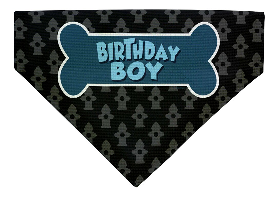 Dog Bday Outfits Birthday Boy Dog Birthday Gifts Dog Birthday Etsy
