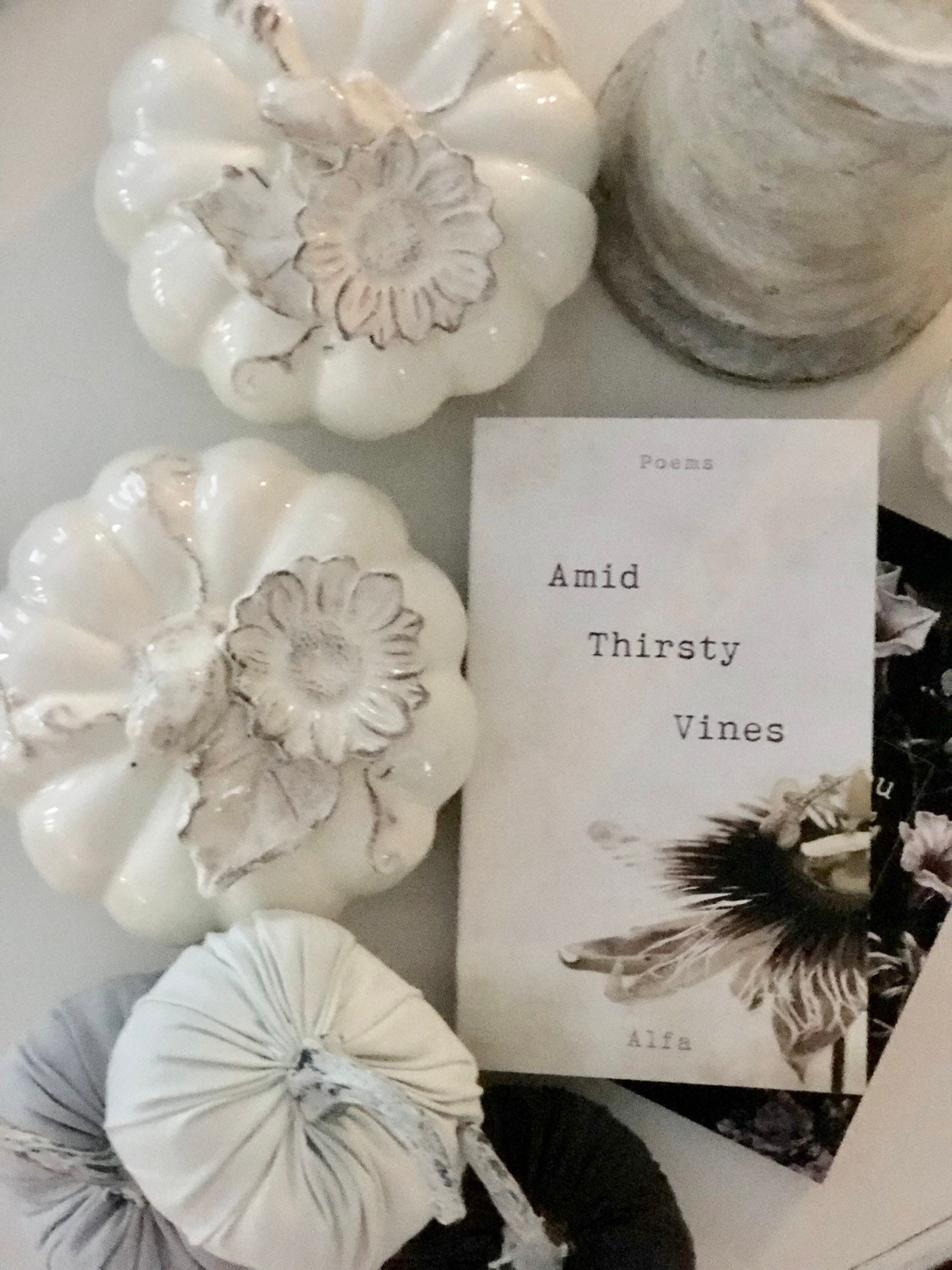 Amid Thirsty Vines poetry book by Poet Alfa LIMITED Signed Etsy