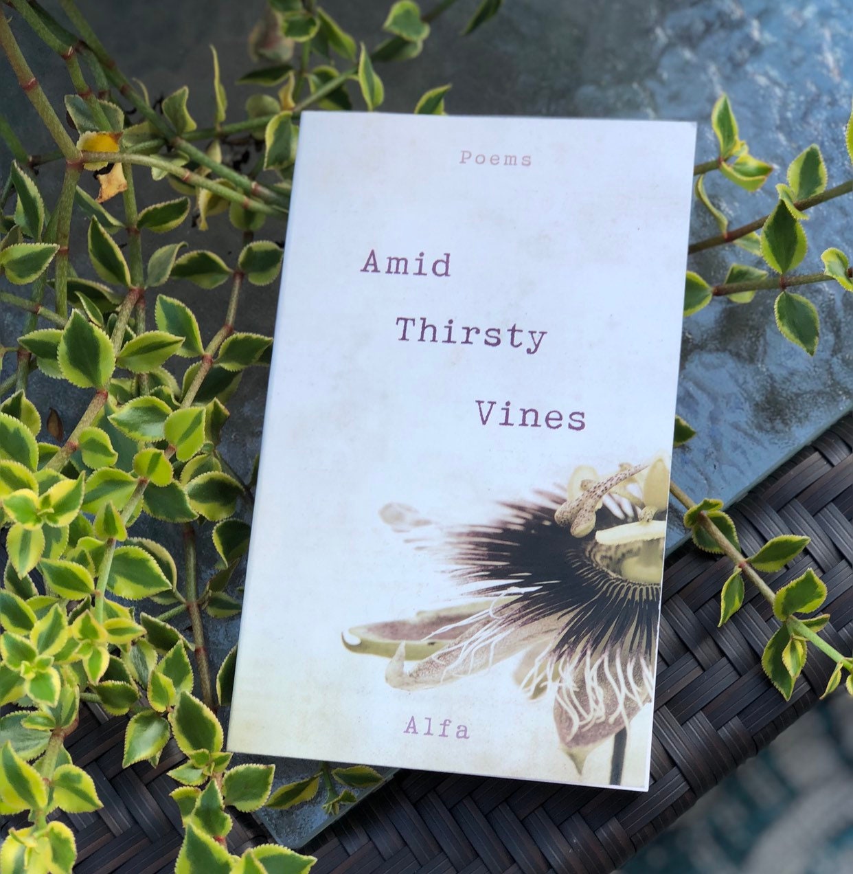 Amid Thirsty Vines poetry book by Poet Alfa LIMITED Signed Etsy