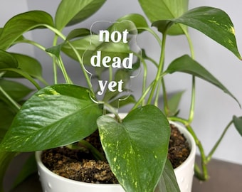 Funny Plant Markers, Sassy Plant Stakes