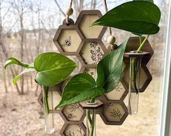 Honeycomb Propagation Station