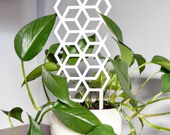 Geometric Acrylic Plant Trellis, 11" Tall, Indoor Plant Support