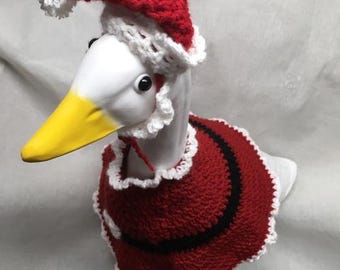 Santa Claus goose outfit
