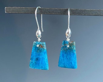 Amazonite Earrings - Gemstone Jewelry - Blue Gemstone - Jewelry Gift - Danube