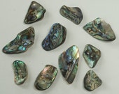 10 Natural Shell Buttons, 2 Hole Buttons, Unique Shapes, Turquoise Pearly Blue Green MOP Abalone Buttons, Organic Paua Shell