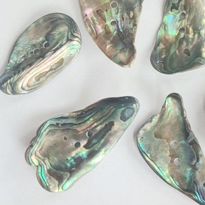 6 Paua-snäcksknappar, unika handgjorda naturliga abalone-knappar, blandade former och storlekar, pärlblågrön och turkos förp. #1