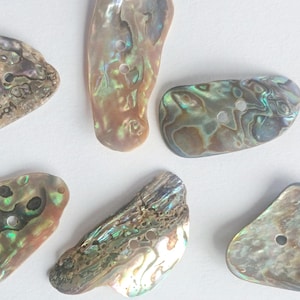 Könnte beinhalten: Sechs schillernde Abalone-Muschelknöpfe in verschiedenen Formen. Die Knöpfe haben natürliche Farben von Braun, Grün und Blau. Ein Edelstahl-Lineal befindet sich am unteren Bildrand.