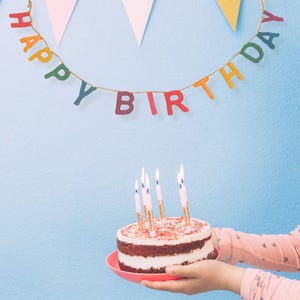 Handmade Rainbow Happy Birthday Felt Garland-Happy Birthday Banner-Rainbow Party Garland- Birthday Decoration-5 Ft-60&quot;-Handmade in Nepal
