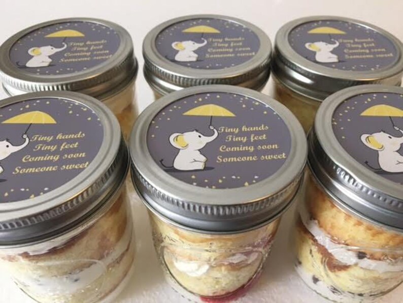 6 8oz Cupcakes In A Jar Mason Jars Elephant Theme Baby Etsy