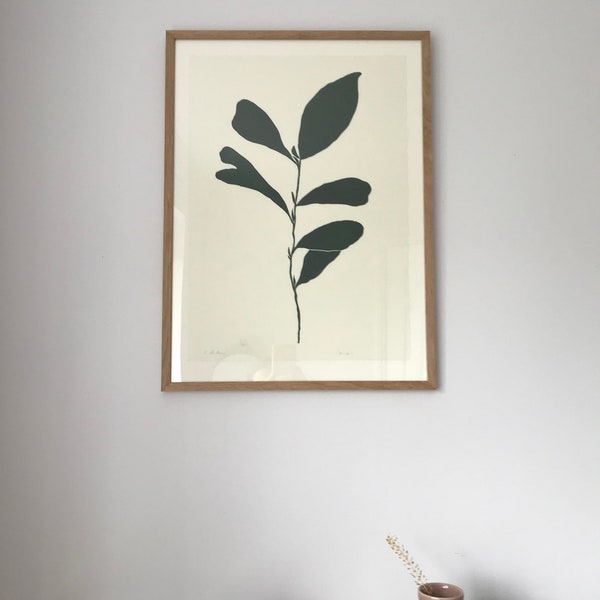 Laurel, deep green silhouette, bold botanical original art print, minimal hand carved and printed lino. Plant leaf art.