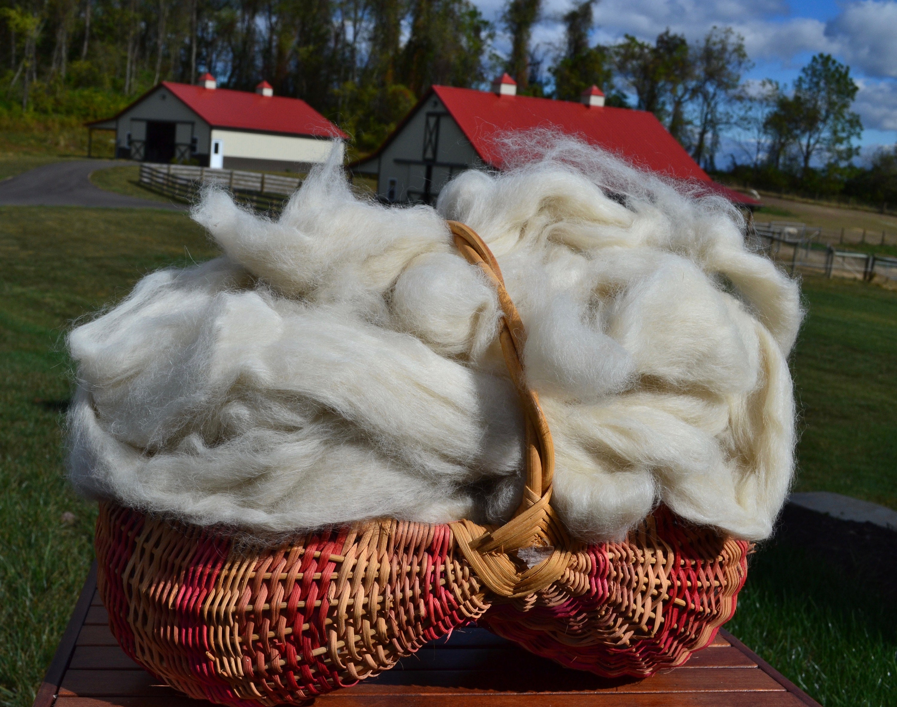Suri Alpaca Roving Etsy