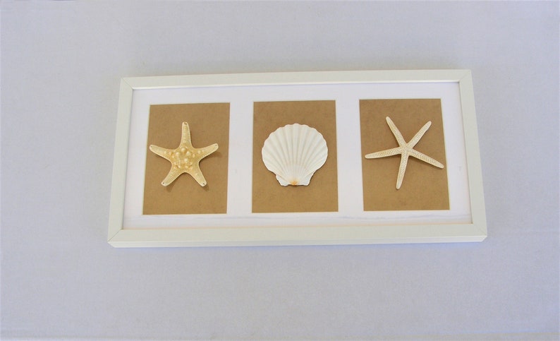 Shell Shadow Box, Wall Art, Seashell Shadow Box, Beach Decor, Coastal ...