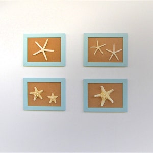 Set of 4 frame Beach Wall Decor with pale turquoise Frame and oritzinal starfish, Coastal Wall Decor, Shell Art, Coastal Decor, Beach Art image 2