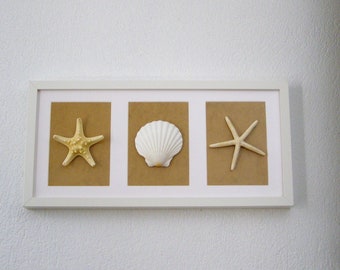 Shell Shadow Box, Wall art, Seashell Shadow Box, Beach Decor, Coastal Wall Decor, Shell Art, Coastal Decor, Beach Art