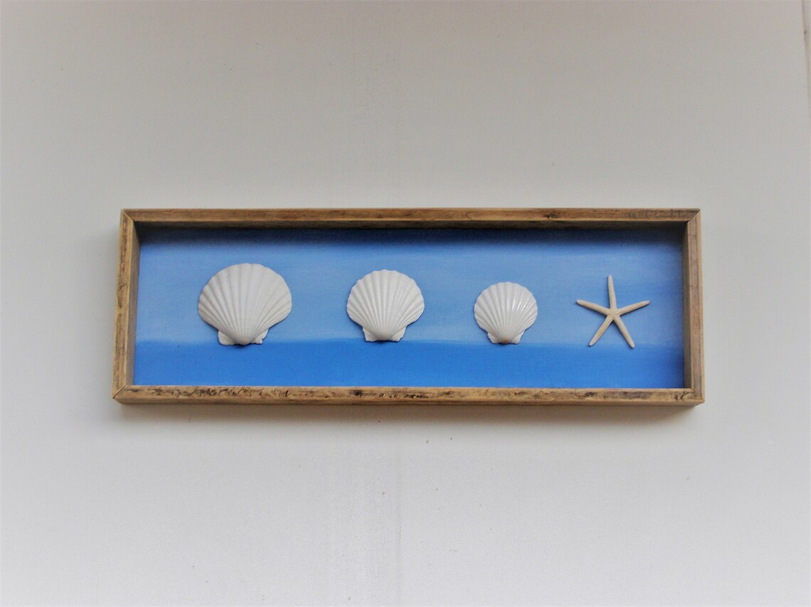 Shell Shadow Box, Wall Art, Seashell Shadow Box, Beach Decor, Coastal