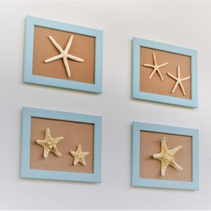 Set of 4 frame Beach Wall Decor with pale turquoise Frame and oritzinal starfish, Coastal Wall Decor, Shell Art, Coastal Decor, Beach Art image 3