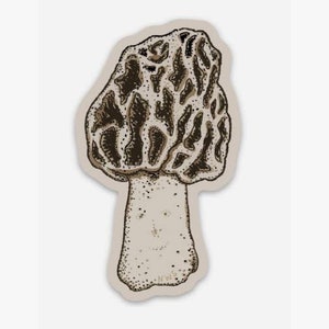 Puede incluir: Una ilustración en blanco y negro de una seta de morchella. La seta tiene un sombrero distintivo en forma de panal y un tallo grueso y blanco.