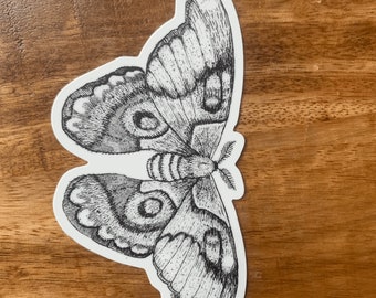 Moth Sticker insect decal bug