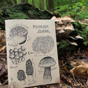 Mushroom Journal FORAGING field guide notes for edible mushrooms zine