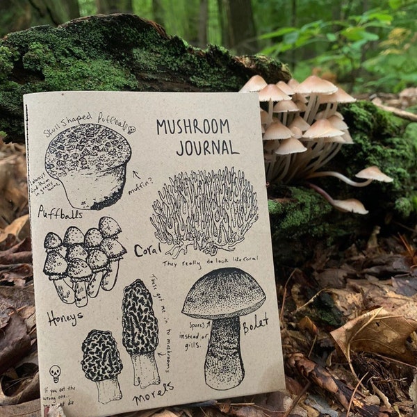 Mushroom Journal FOURRAGER notes du guide de terrain pour le zine de champignons comestibles