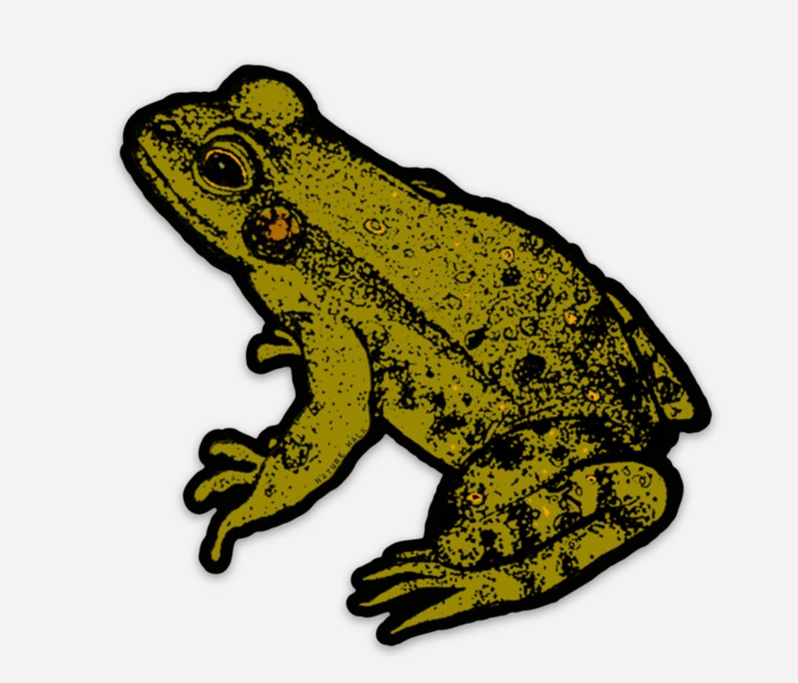 Frog Sticker Waterproof Decal - Etsy