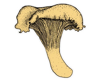 Chanterelle Mushroom  Decal