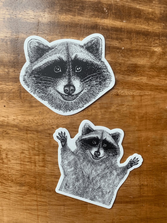 Raccoon Sticker Pack Coon Decal Trash Panda - Etsy