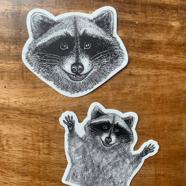 Raccoon Sticker Pack coon decal trash panda