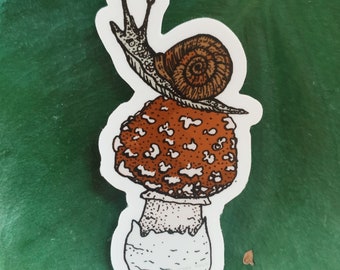 Snail Amanita Mushrooms Decal mushroom stickers nature mycology snail decal