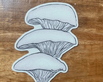 Oyster Mushroom Sticker Pack mushroom decal fungi