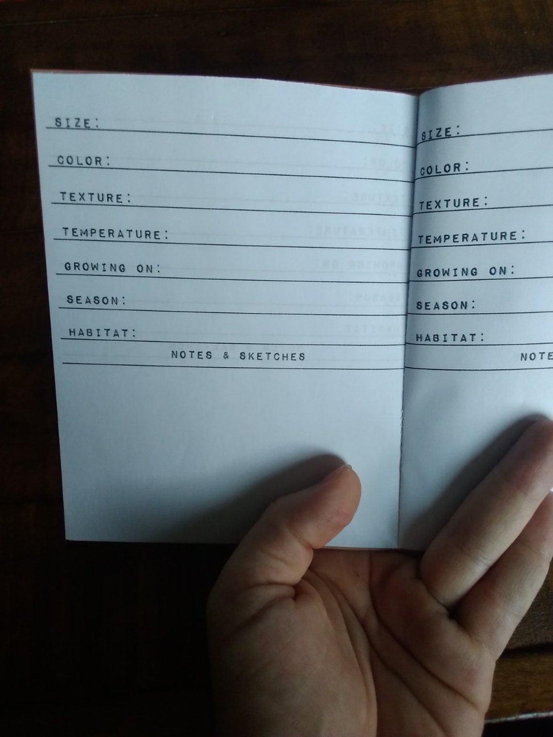 Mushroom Journal FORAGING Field Guide Notes for Edible - Etsy