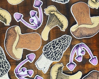 Mushroom laser cut decal  Sticker Pack