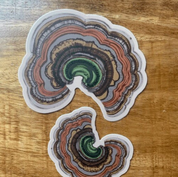 Turkey Tail Mushroom Sticker Pack mushroom decal fungi