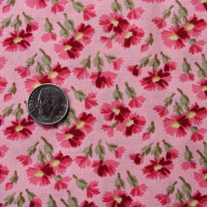 Penelope Pink Pretty Pinks! by Holly Holderman for Lakehouse Dry Goods Fabric by the Half Yard  04A 130