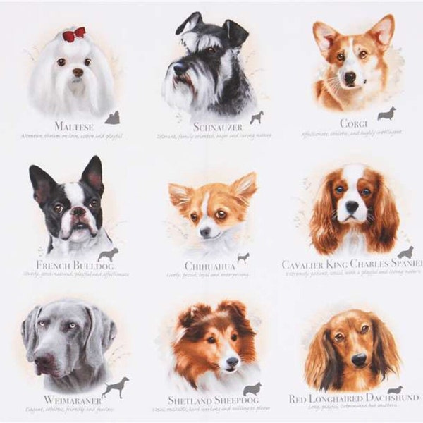 Dog Breeds by Howard Robinson for Elizabeth's Studio Fabric Panel 24" x WOF 09B 089