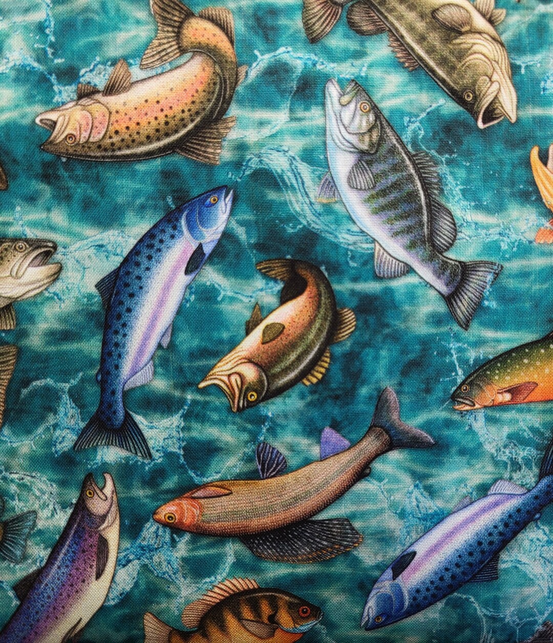 Fresh Catch by Dan Morris Design for Quilting Treasures Various Fish ...