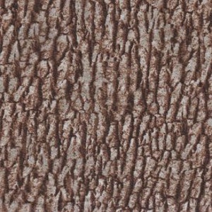 Naturescapes in Brown by Deborah Edwards of Northcott Fabric by the Half Yard 54A 056