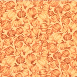 Happy Harvest by Courtney Morgenstern for 3 Wishes Fabric by the Half Yard 14A 023