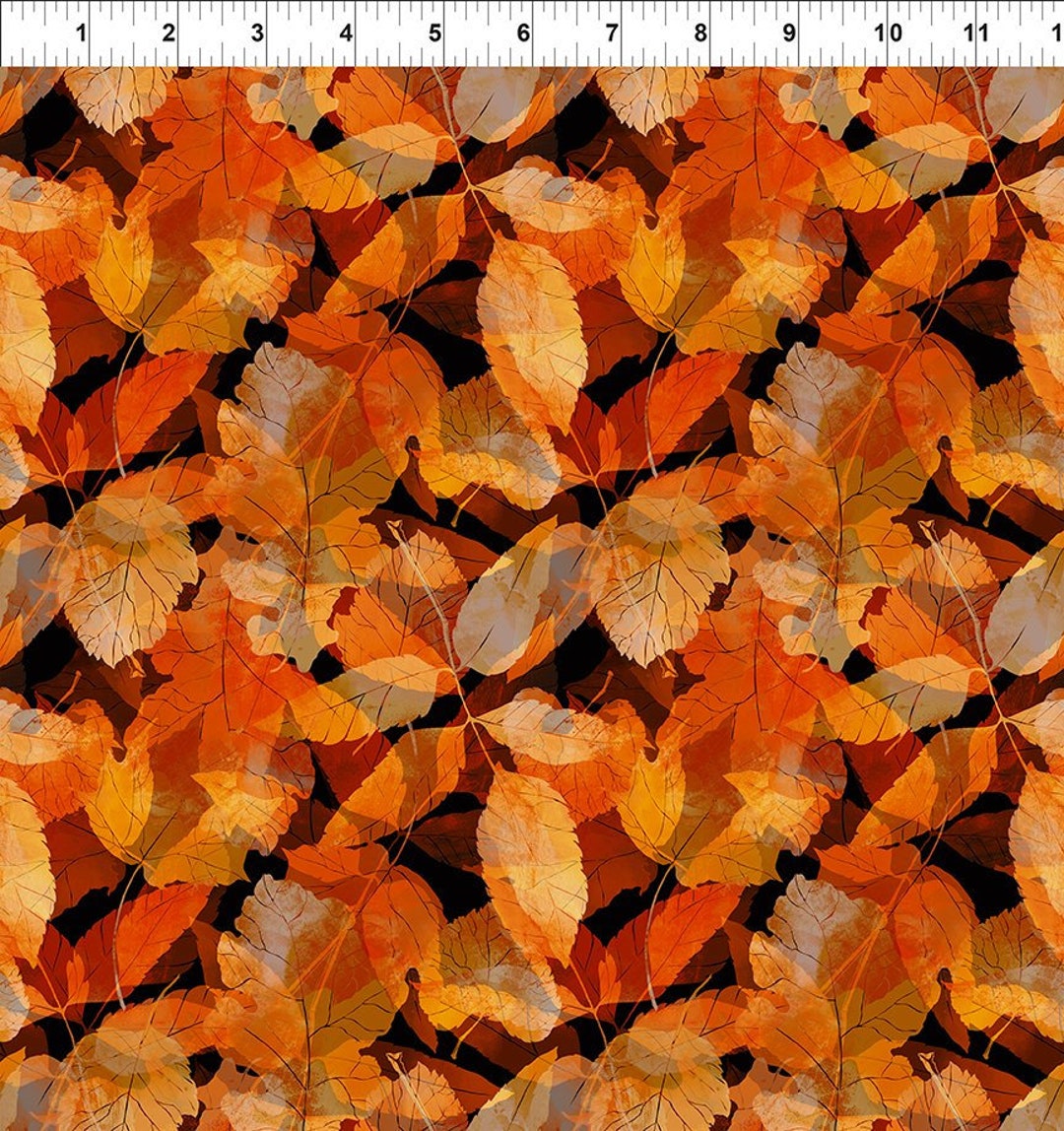 Reflections of Autumn Collection by Jason Yenter for in the Beginning ...