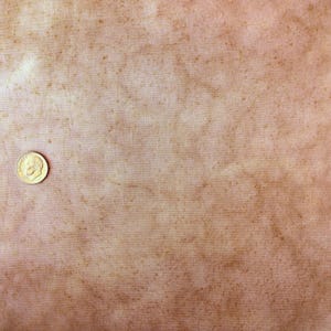 Peanut Shell Brown Mottled Watercolor Batik Fabric Batik by the Half Yard