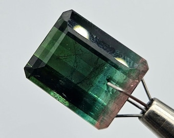 Watermelon Tourmaline 10.7ct Gemstone from Brazil // Bicolor Pink & Green Cut Tourmaline Gem Pederneira Cruzeiro Barra Sapo