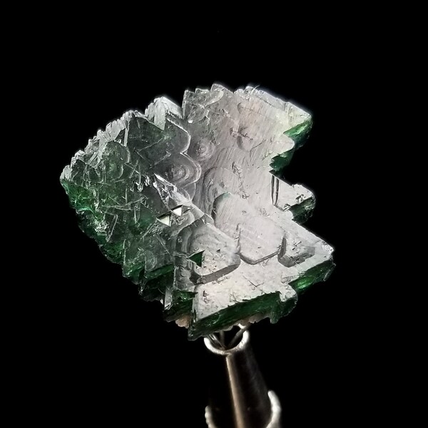 Green & Pink Tourmaline Crystal Scepter // 5.4 Grams // Barra de Salinas Brazil // Record keeper Etched Watermelon Tourmaline Crystal