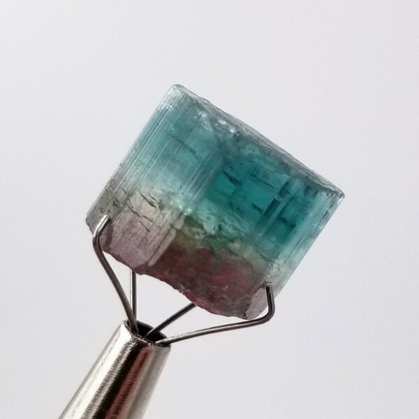 Bi-Color Tourmaline Crystal // 4.2 Grams // Blue & Pink Watermelon Barra de Salinas, Brazil