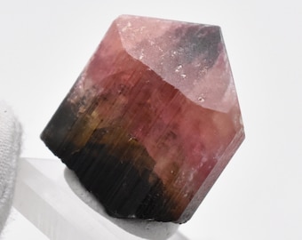 Tourmaline Crystal 22.7g Green and Pink from Malkhan, Eastern Siberia, Russia // Large Terminated Crystal