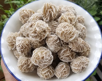 Desert Rose Selenite Crystal 1"-1.5" from Mexico // Natural Selenite Rose Crystal from Mexico