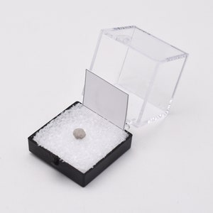 Perky Box con Mineral Tack & Label 1,25" x 1,25" // Perky Thumbnail Box per display Crystal, Mineral, Specimen